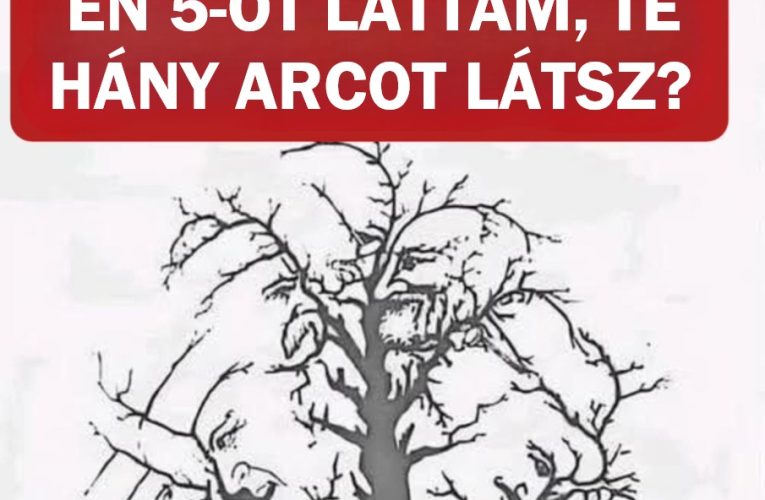 Szemteszt sofőröknek..