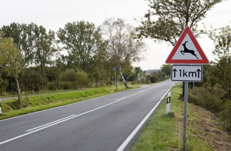 Kiadták a figyelmeztetést