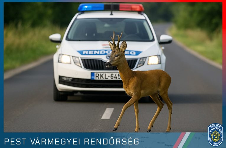 Most van az őzek szerelmi időszaka
