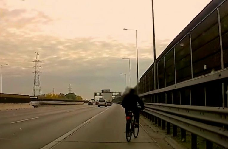 Nem mindennapi eset az M0-án