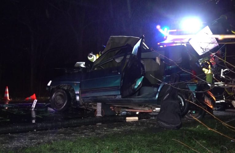 Frontális baleset a 442-es főúton