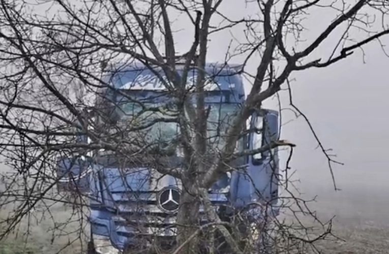 Letért az úttestről, több fát kidöntött, majd az árokban állt meg egy kamion