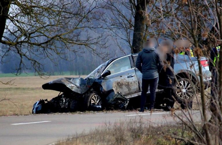 Fának csapódott a miniszterhelyettes autója