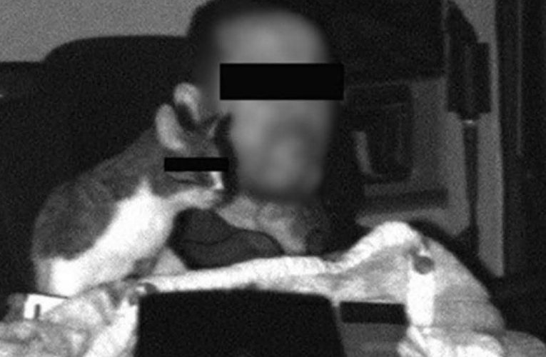 Mosolyt csalt a netezők arcára a „műszerfalas cica” – pár nappal később halálos tragédia az A2-esen!