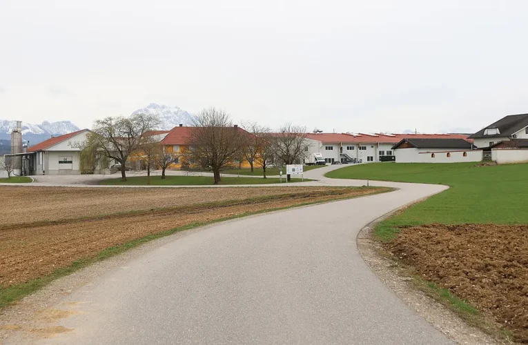 Rejtélyes halál a kamionfülkében – magyar sofőrt találtak holtan Ausztriában!