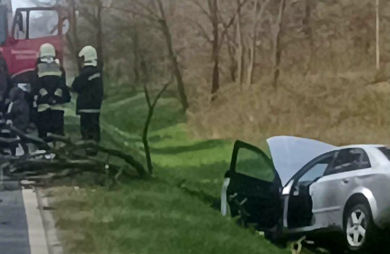 Úttestre ugró állat miatt elrántotta a kormányt egy autós