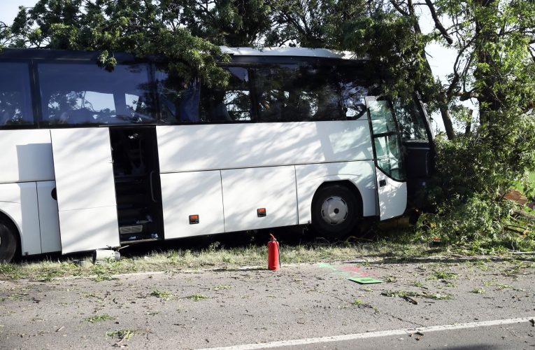 Gyerekeket szállító busz csapódott fának