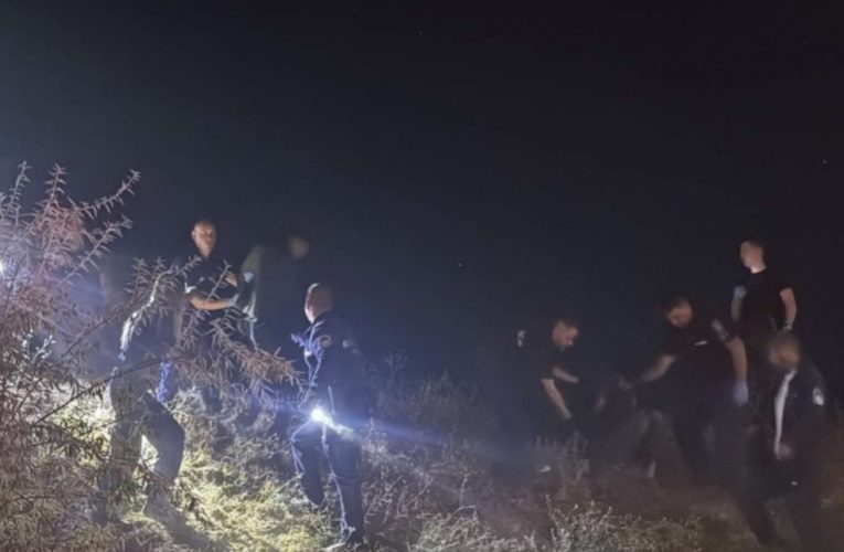 Embercsempészt fogtak el az M7-esnél
