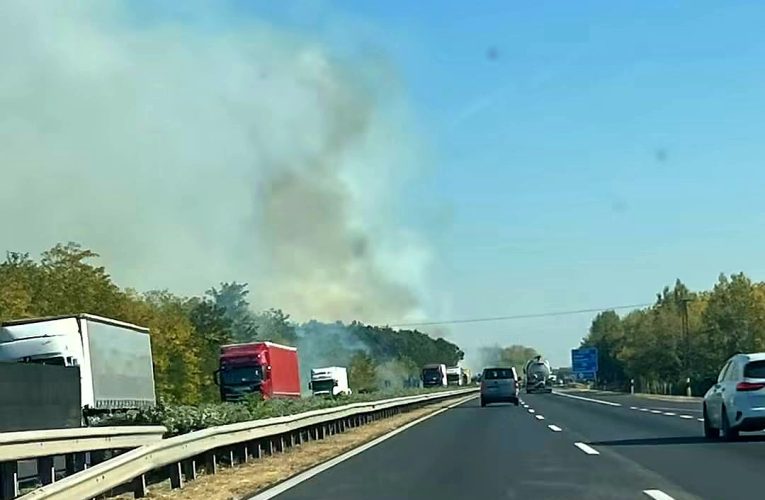 Tűz az M5-ös autópálya mellett